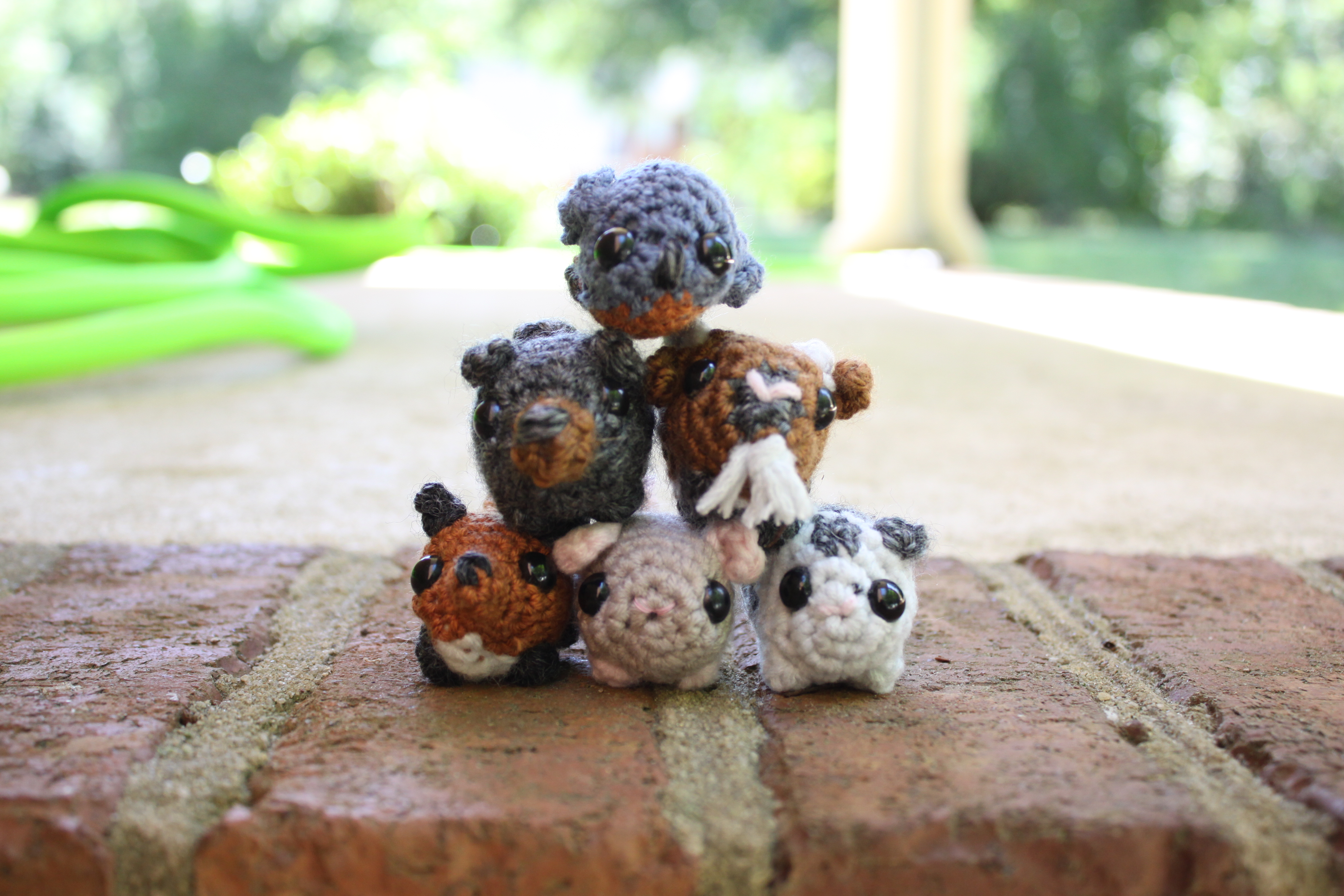 Pipkins