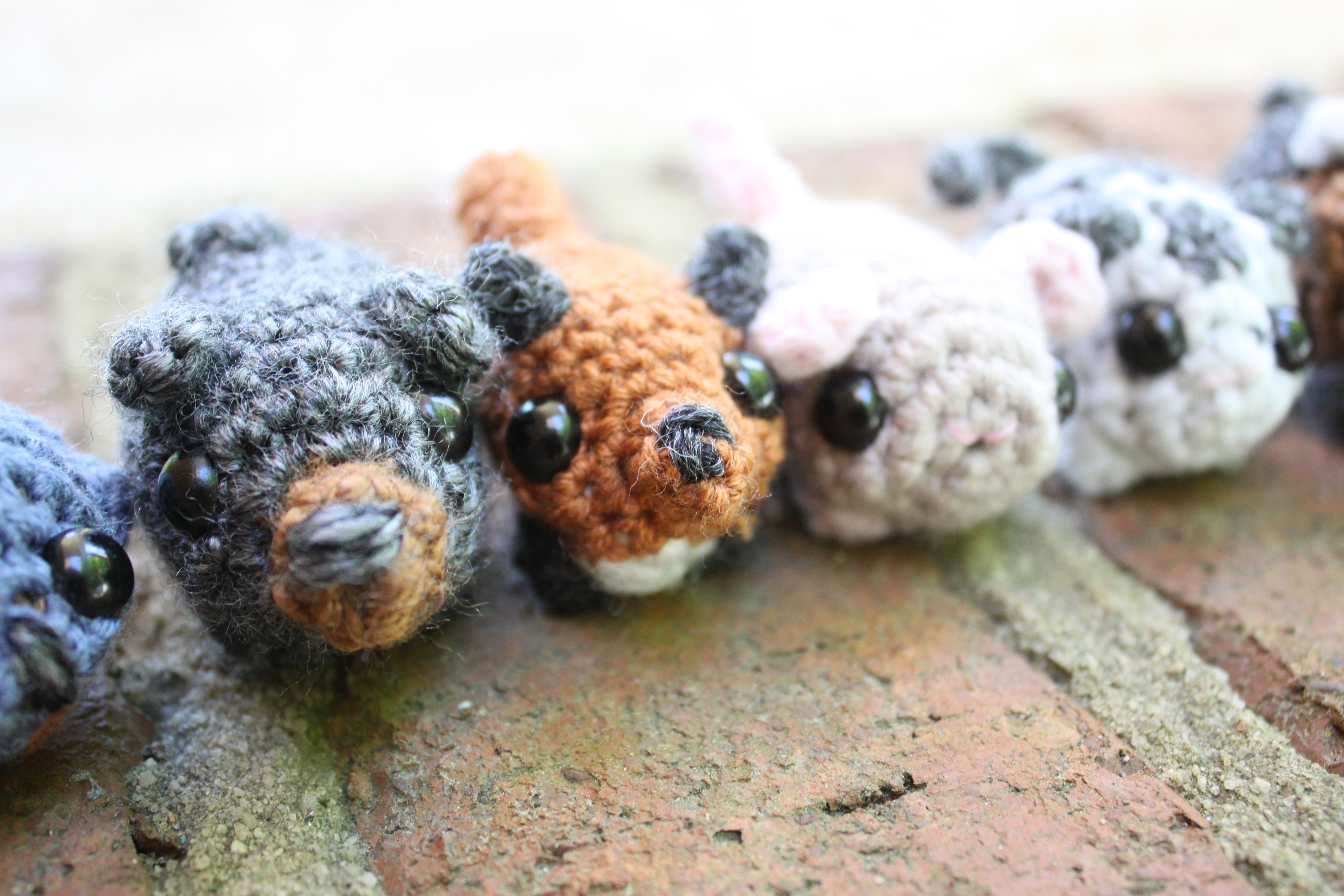 A collection of pipkins
